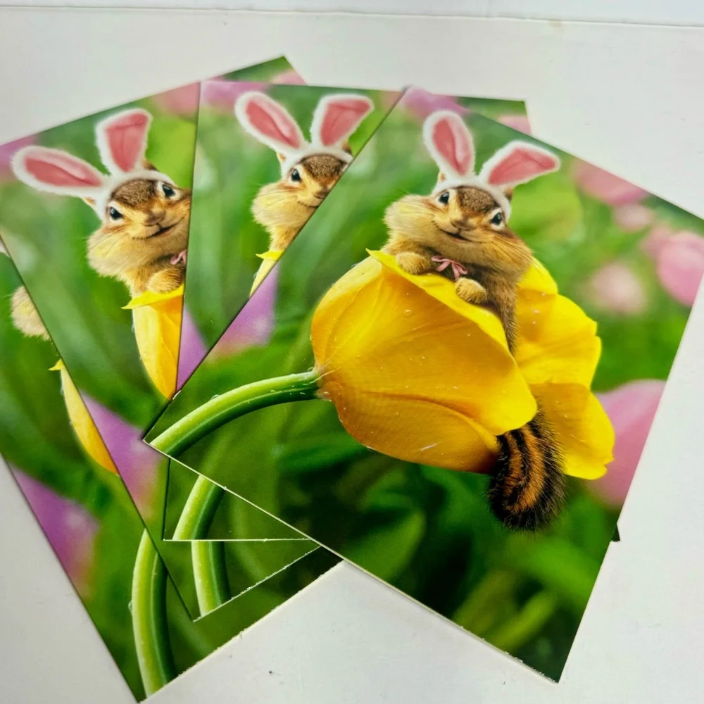 4 Avanti Greeting cards -chipmunk in yellow flower with bunny ears. Easter.